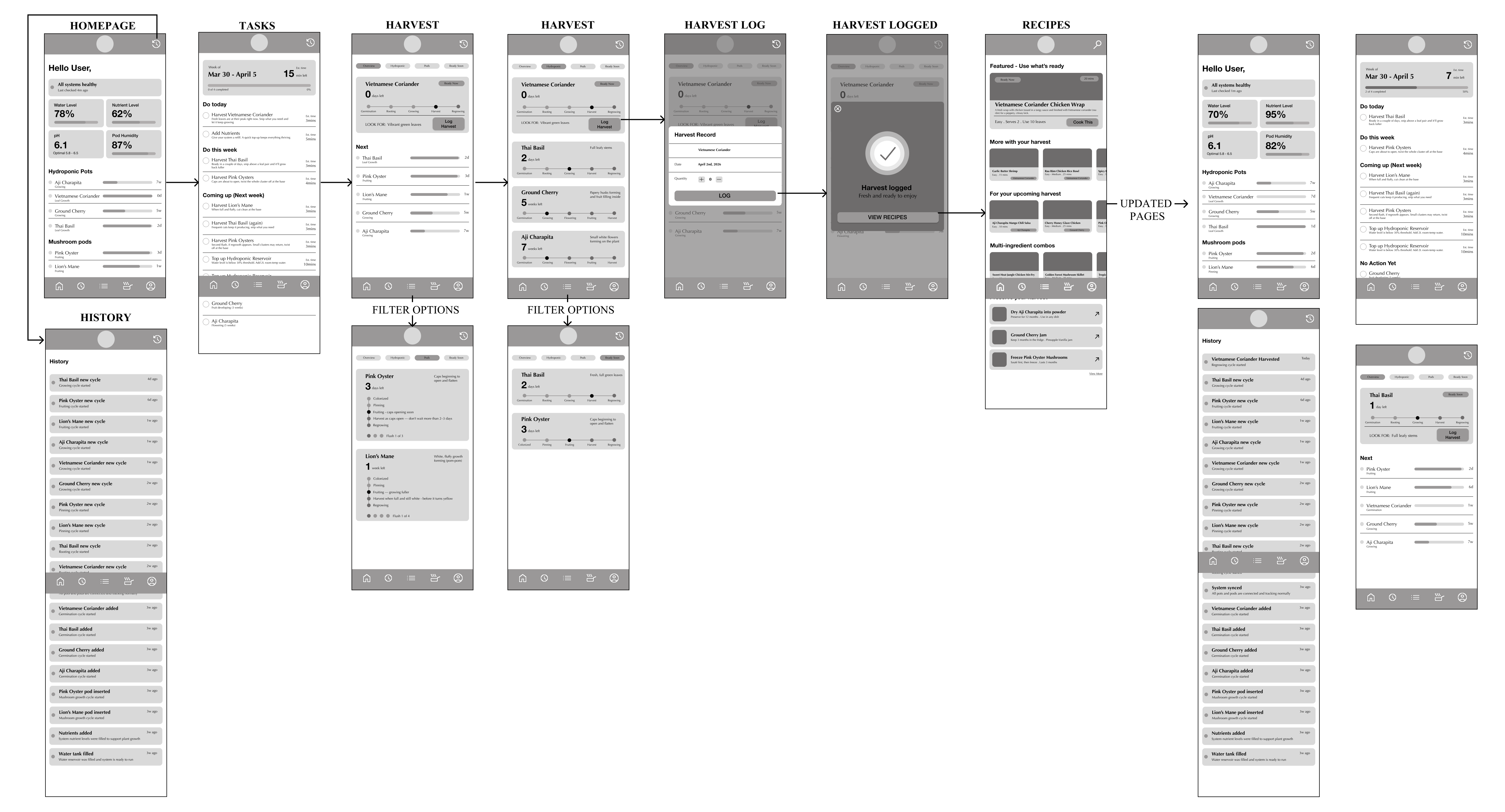 Low fidelity digital wireframes